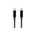 Apple Thunderbolt Cable (2.0 m) black