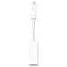 Apple Thunderbolt to Firewire Adapter