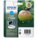 kazeta EPSON SX235W/SX420W/SX425W/SX525WD/SX620FW/BX305F/BX320FW cyan L (474 str)